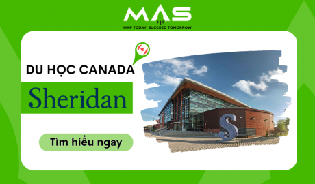 Du học Sheridan College – Hướng dẫn chi tiết về ngành học, yêu cầu đầu vào, chi phí và học bổng mới nhất