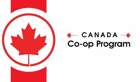 Chương trình Co-op tại Canada: Cơ hội thực tập có lương, mở rộng tương lai nghề nghiệp